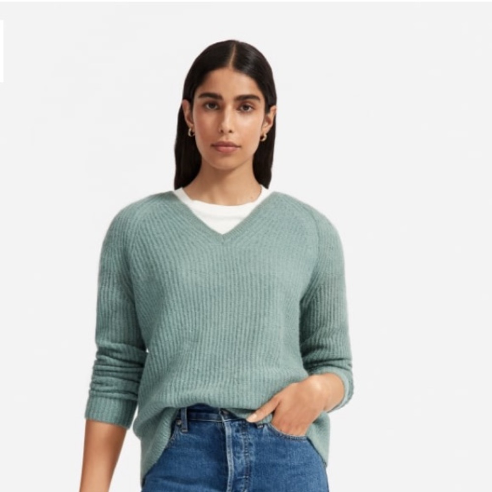 Everlane Alpaca V neck sweater